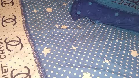 bossetassy online show from 04/10/26, 05:17