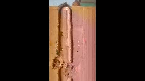 bossusaround online show from 02/09/26, 05:50