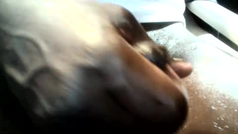 Snapshot of botofogo chatting on 01/19/26, 08:07 botofogo online show from 01/19/26, 08:07