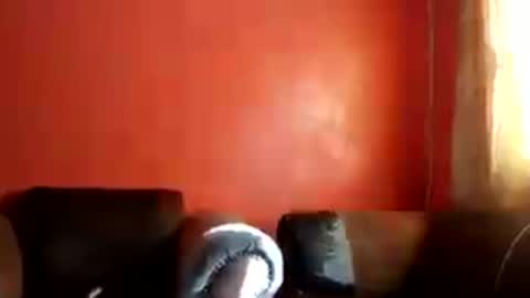 Snapshot of botsougaba chatting on 07/27/26, 07:48 botsougaba online show from 07/27/26, 07:48