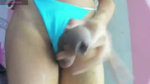 Snapshot of bouncing_bunnyxxx69 chatting on 07/05/26, 08:38 bouncing_bunnyxxx69 online show from 07/05/26, 08:38