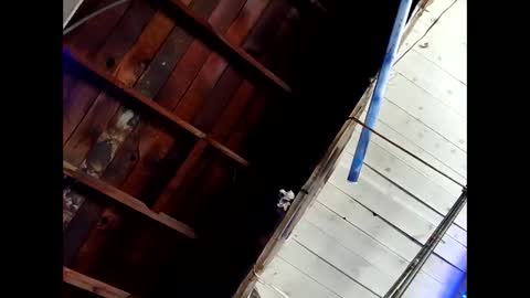 bouncr714 online show from 02/26/26, 07:46