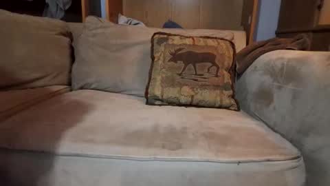 smoothslutfordaddy online show from 02/09/26, 04:05