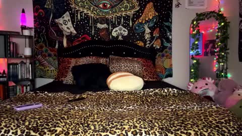 Snapshot of boysdroollx chatting on 02/23/25, 12:37 Puddin online show from 02/23/25, 12:37