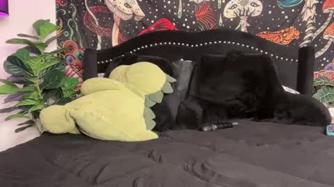 Snapshot of boysdroollx chatting on 09/22/25, 12:01 Puddin online show from 09/22/25, 12:01