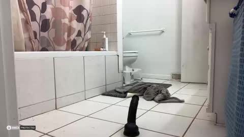 boysetsfire34 online show from 10/08/25, 05:16