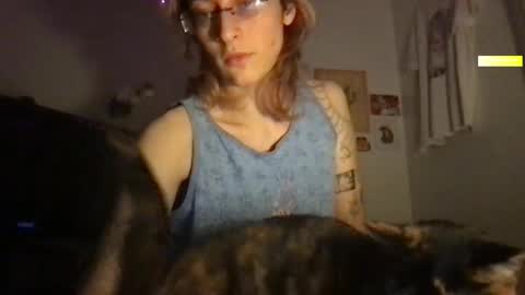 Snapshot of boywithbug chatting on 03/11/25, 04:54 boywithbug online show from 03/11/25, 04:54