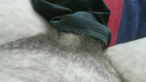 bpllpd online show from 01/11/26, 04:45