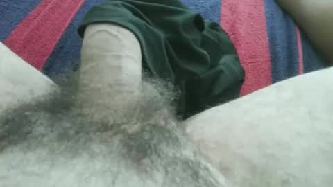 bpllpd online show from 04/11/26, 03:27