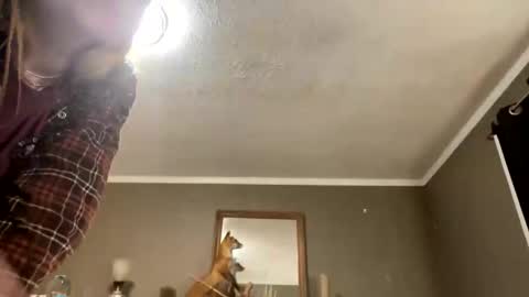 bps276 online show from 02/20/26, 08:27