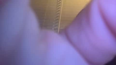 Bradley online show from 11/18/25, 04:17