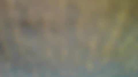 bradynoggle online show from 02/12/25, 06:40