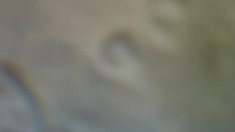 bradynoggle online show from 09/11/25, 02:55