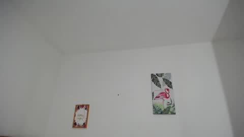 Snapshot of brafantasy chatting on 01/30/25, 03:51 Rachel online show from 01/30/25, 03:51