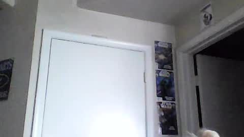 Snapshot of braindeadbetty chatting on 06/15/26, 02:08 i am a naughty jedi knight online show from 06/15/26, 02:08