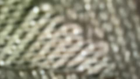 brandonconrad online show from 02/07/26, 06:44