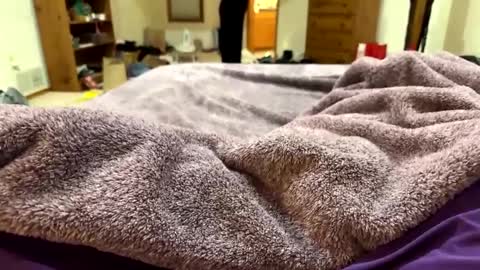 brandondot online show from 12/16/24, 07:26