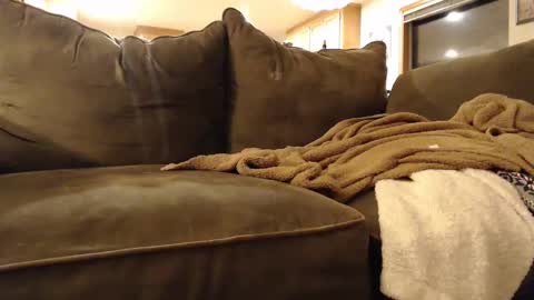 brandondot online show from 02/03/25, 05:51