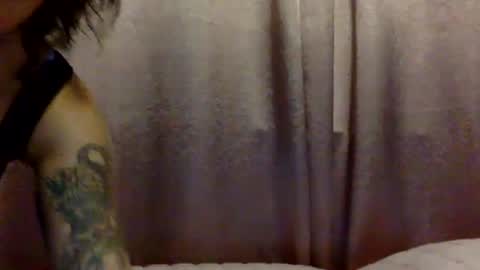 Snapshot of brasilierabrat chatting on 06/11/26, 02:33 brasilierabrat online show from 06/11/26, 02:33