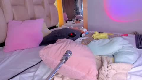 Branda online show from 02/23/25, 02:35