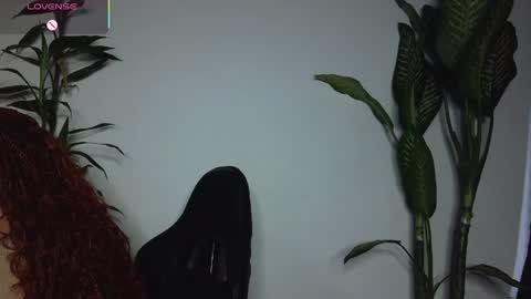 Bri  online show from 03/29/26, 11:16