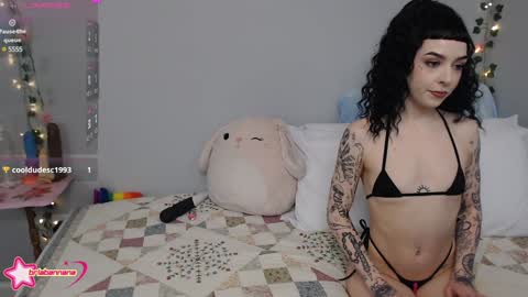 Snapshot of briabannana chatting on 12/12/24, 12:48 Brianna online show from 12/12/24, 12:48