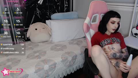 Snapshot of briabannana chatting on 12/30/24, 06:09 Brianna online show from 12/30/24, 06:09