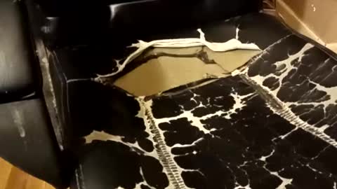 BB online show from 12/14/25, 01:33