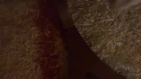 Snapshot of brian_stars chatting on 10/28/25, 03:25 Brian boy online show from 10/28/25, 03:25