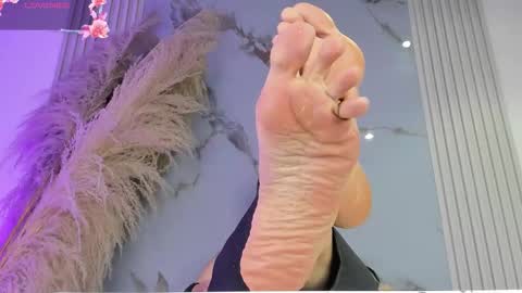    online show from 02/27/26, 12:05