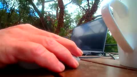 Snapshot of bridie3079 chatting on 02/19/26, 01:01 Fun Monster online show from 02/19/26, 01:01