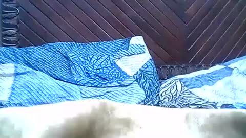 Josh online show from 12/28/24, 09:40