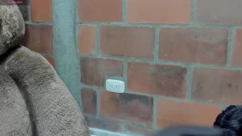 Snapshot of brilovers chatting on 03/06/25, 02:41 Briana69 online show from 03/06/25, 02:41