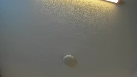 Brittany  online show from 09/27/25, 07:30