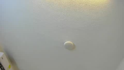 Brittany  online show from 03/01/26, 08:00