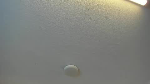 Brittany  online show from 04/19/26, 07:38