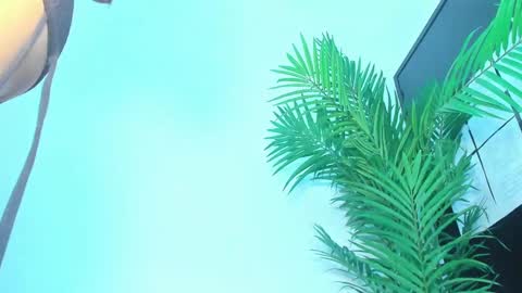 BRIYIT     online show from 01/10/25, 05:58