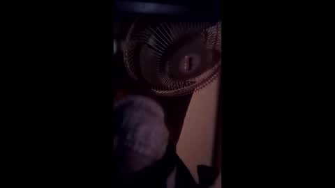 Brobator-gator online show from 02/19/26, 12:39