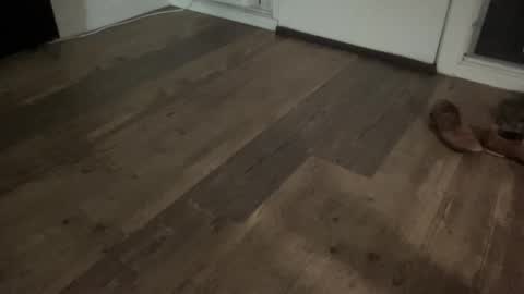 Snapshot of brokehungcollegeguy chatting on 02/13/26, 05:47 Broke Hung College Guy online show from 02/13/26, 05:47