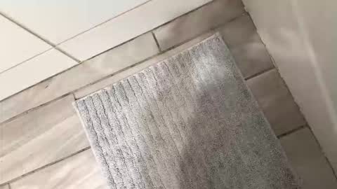 brownboyli online show from 03/02/26, 03:09