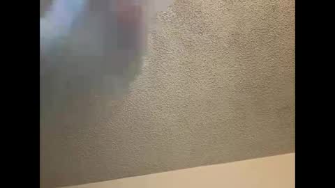 EtherealLilac online show from 03/04/25, 12:07