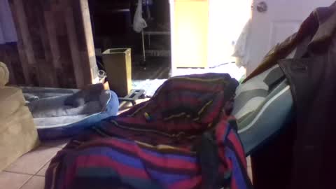 Snapshot of brutal3anddone chatting on 10/16/25, 05:14 brutal3anddone online show from 10/16/25, 05:14