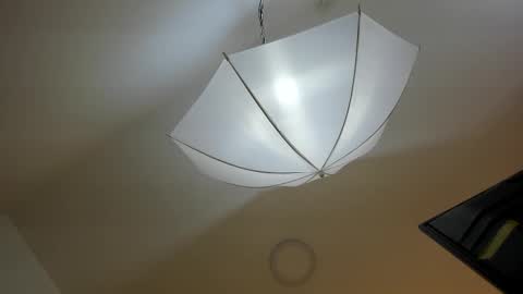 bryannamiller online show from 11/11/25, 11:54