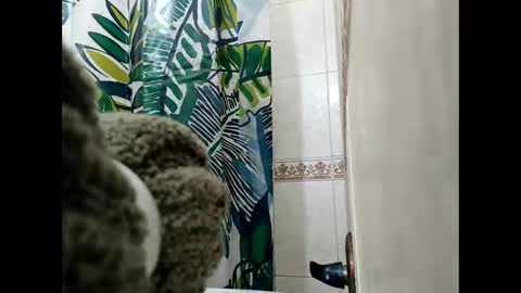 Snapshot of bssexperience chatting on 03/03/25, 01:31 HazelEyedStud1999 online show from 03/03/25, 01:31