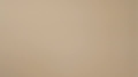 Snapshot of bssexperience chatting on 03/12/25, 12:31 HazelEyedStud1999 online show from 03/12/25, 12:31