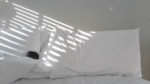 bubblensuck13 online show from 01/15/25, 11:53