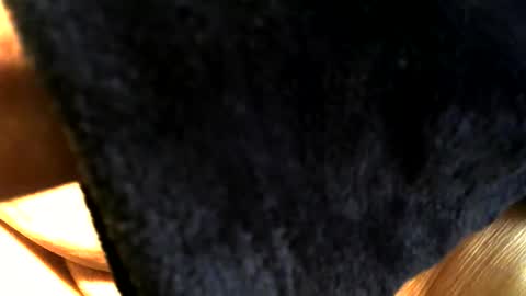 Buck online show from 03/15/26, 03:40