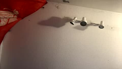 buckoykang online show from 02/14/25, 09:45