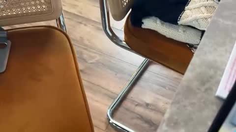 bucky58 online show from 02/16/26, 03:30