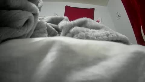 budsonly33 online show from 12/12/24, 07:52